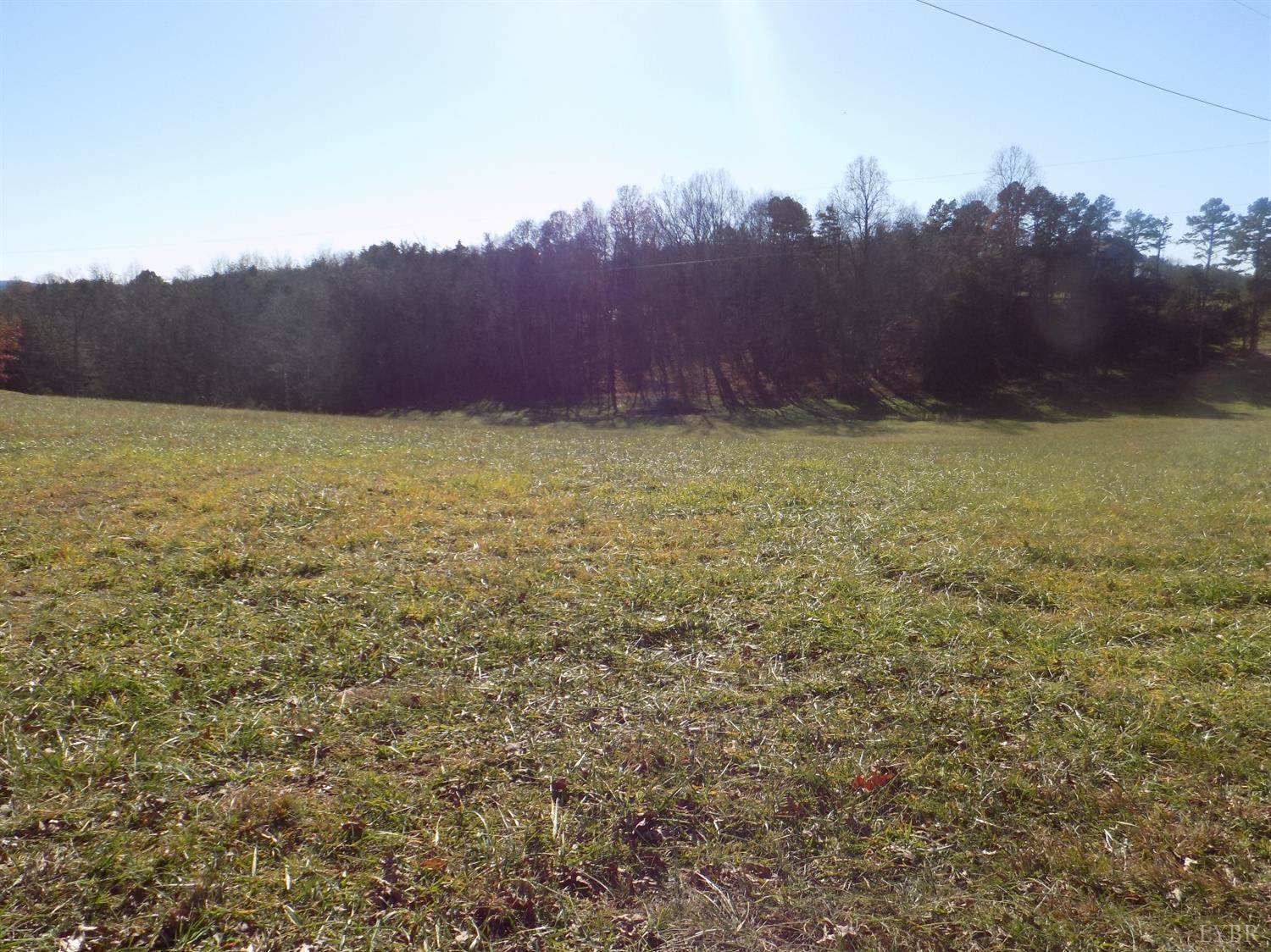 0 Lot 8 Goode -Bells Mlll Road, #8, Goode, VA 24556