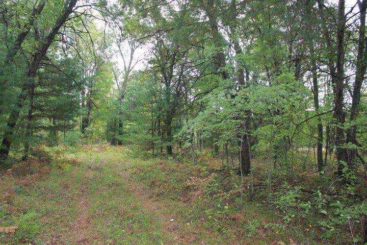 39.53 Acres LONESOME ROAD, Wisconsin Rapids, WI 54495