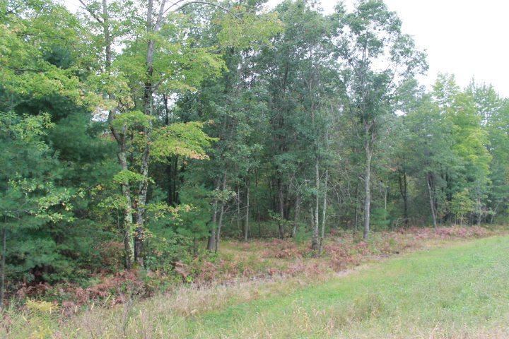 39.53 Acres LONESOME ROAD, Wisconsin Rapids, WI 54495