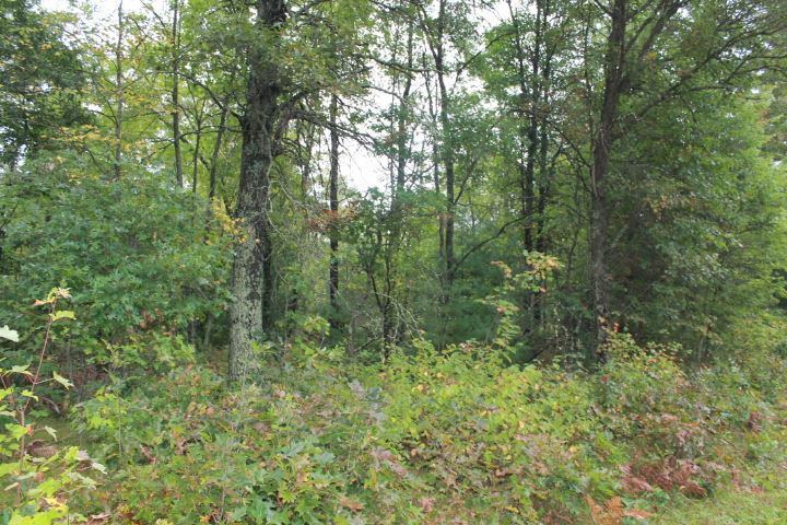 39.53 Acres LONESOME ROAD, Wisconsin Rapids, WI 54495