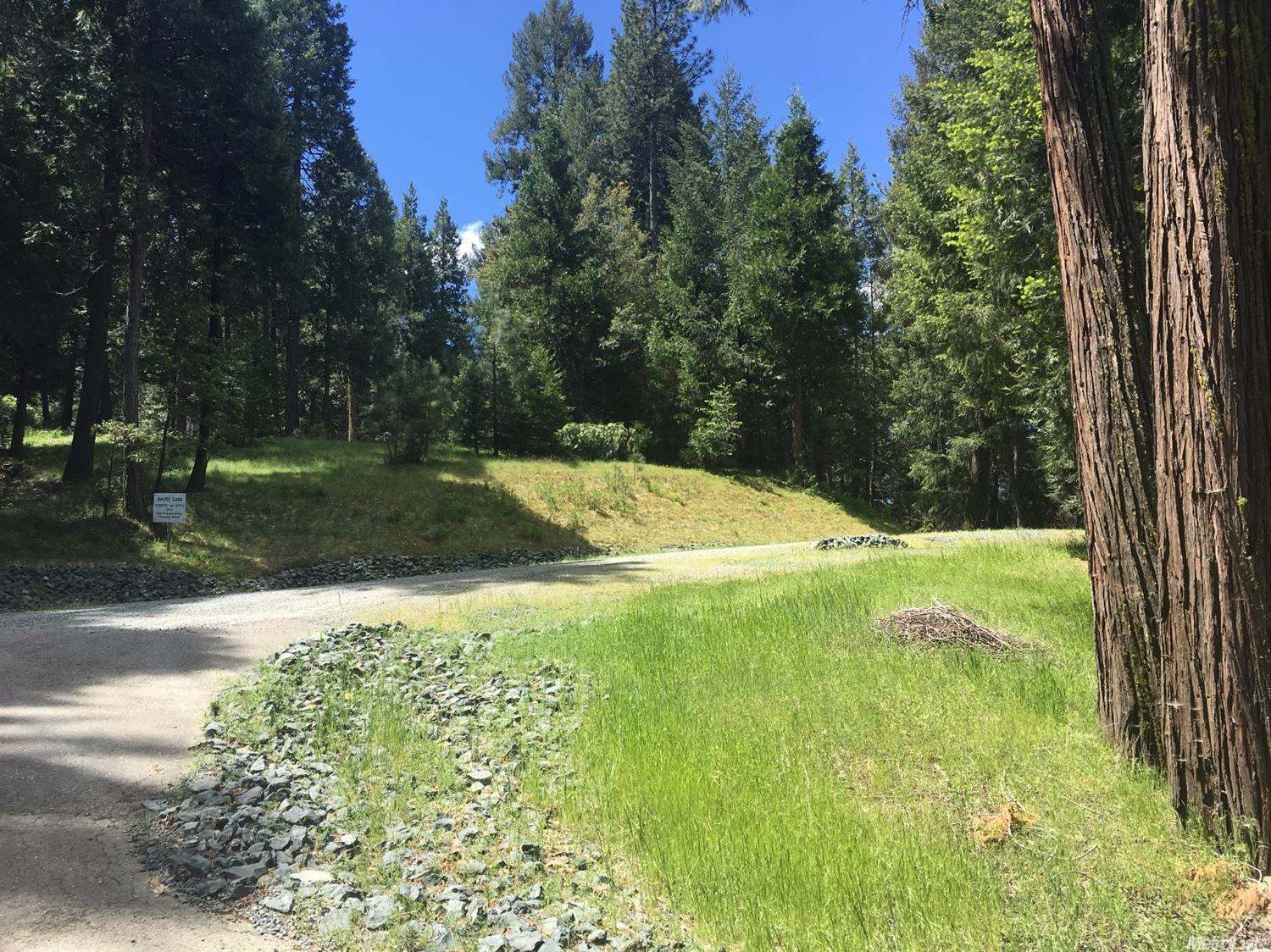 4881 Arctic Lane, Grizzly Flats, CA 95636