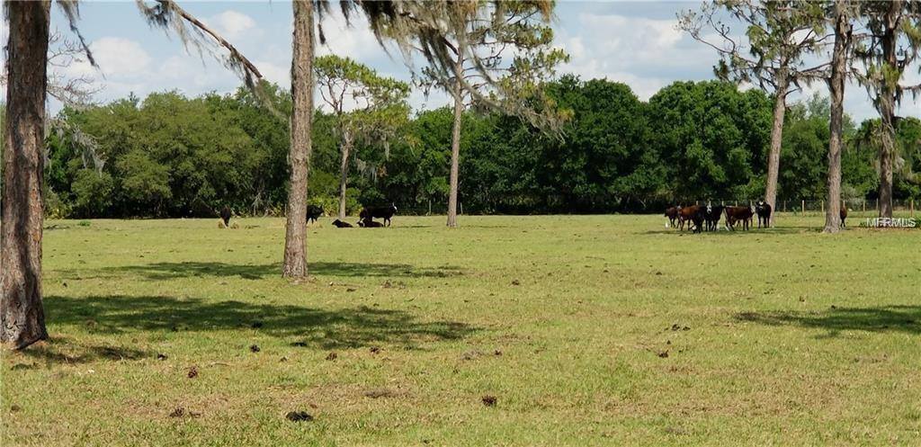 14725 Sugar Bowl Road, Myakka City, FL 34251