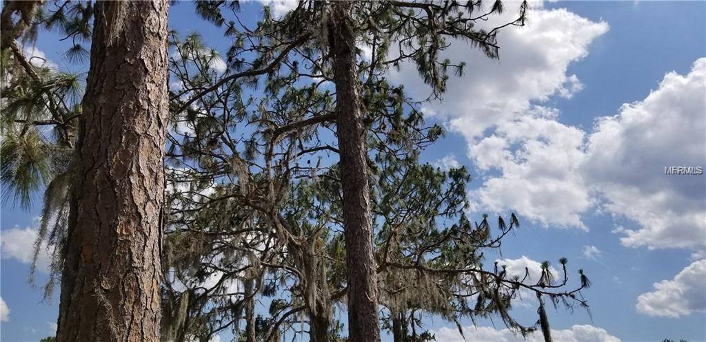 14725 Sugar Bowl Road, Myakka City, FL 34251