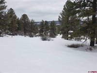 35 Ute Lane, Pagosa Springs, CO 81147