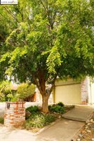 5873 Caulfield Dr, Clayton, CA 94517