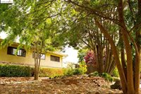 5873 Caulfield Dr, Clayton, CA 94517