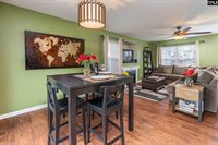 145 Drooping Leaf Drive, Lexington, SC 29072