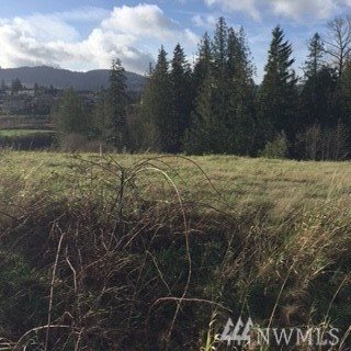 24031 Dolphin Lane, Lots 220, 221, Mount Vernon, WA 98274