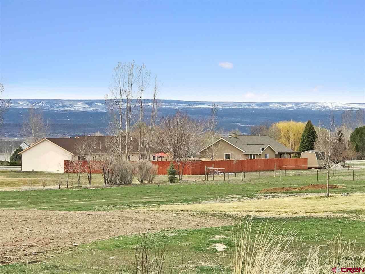 68777 Open Field Drive, Montrose, CO 81401