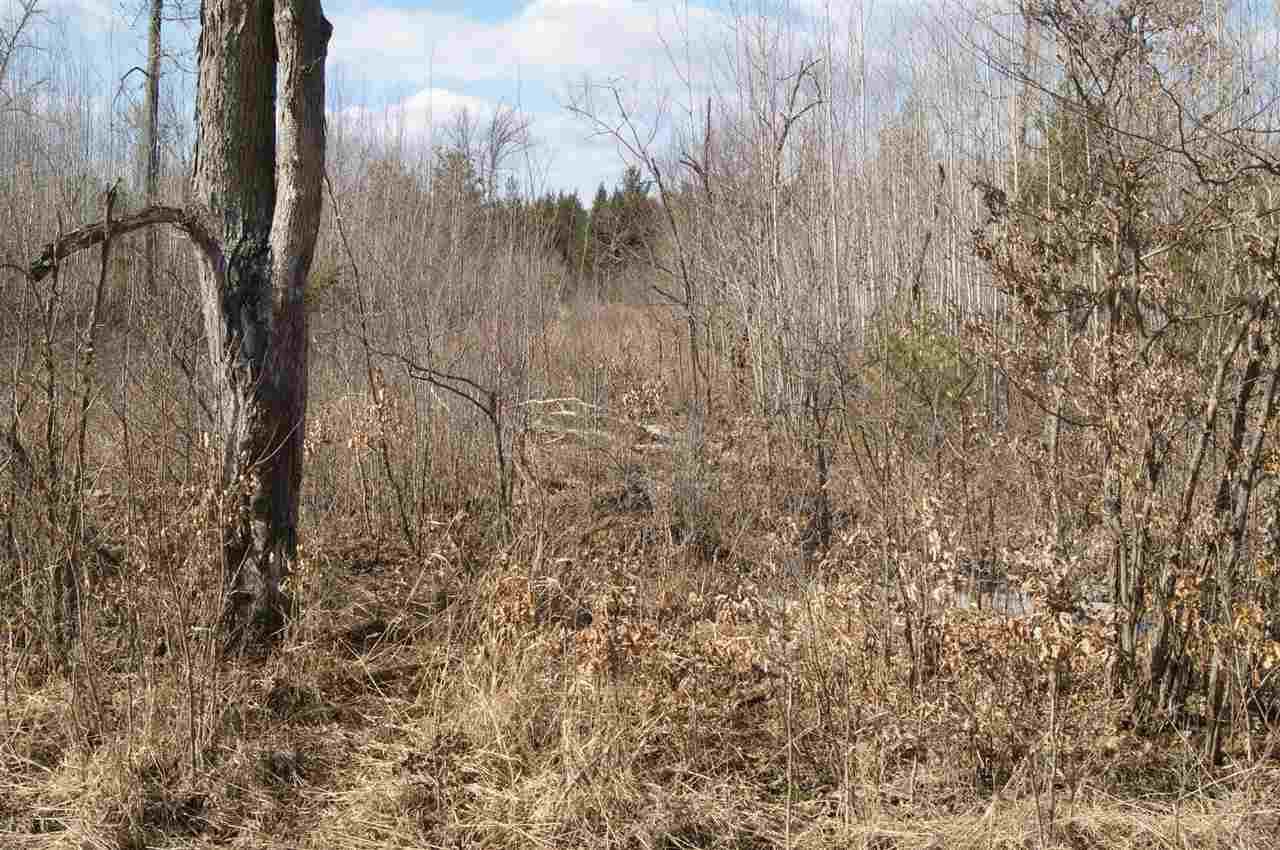 40 Acres KNUTES ROAD, Pittsville, WI 54466