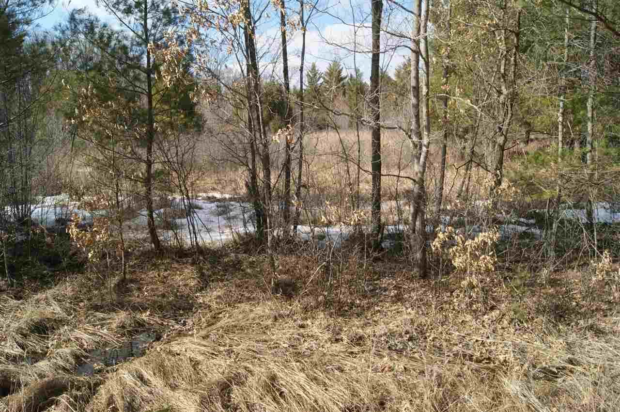 40 Acres KNUTES ROAD, Pittsville, WI 54466