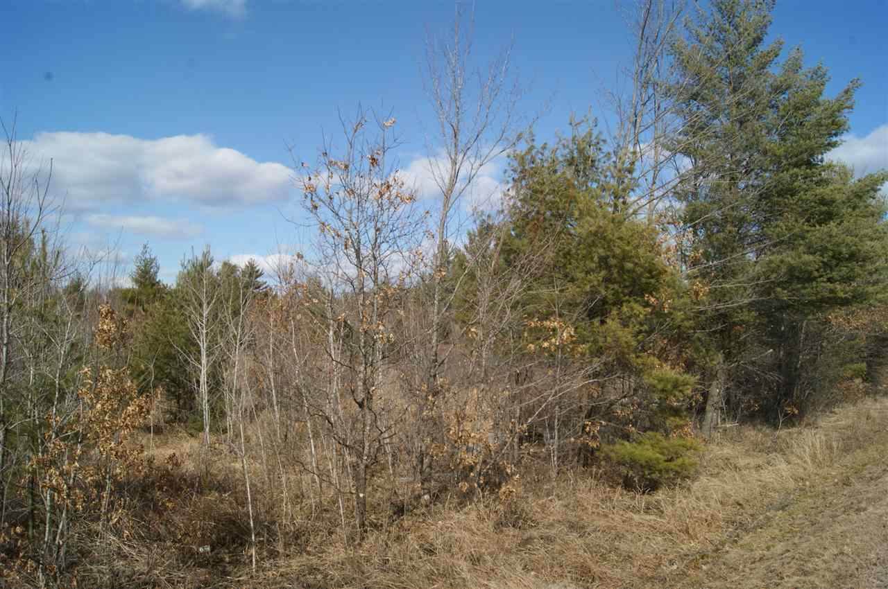 40 Acres KNUTES ROAD, Pittsville, WI 54466