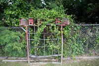 1038 Crestridge Drive, Rossville, GA 30741