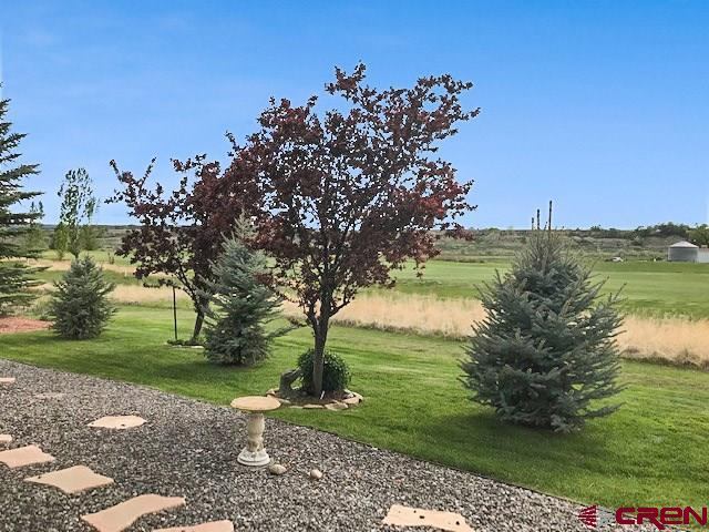 555 Cobble Drive, Montrose, CO 81403