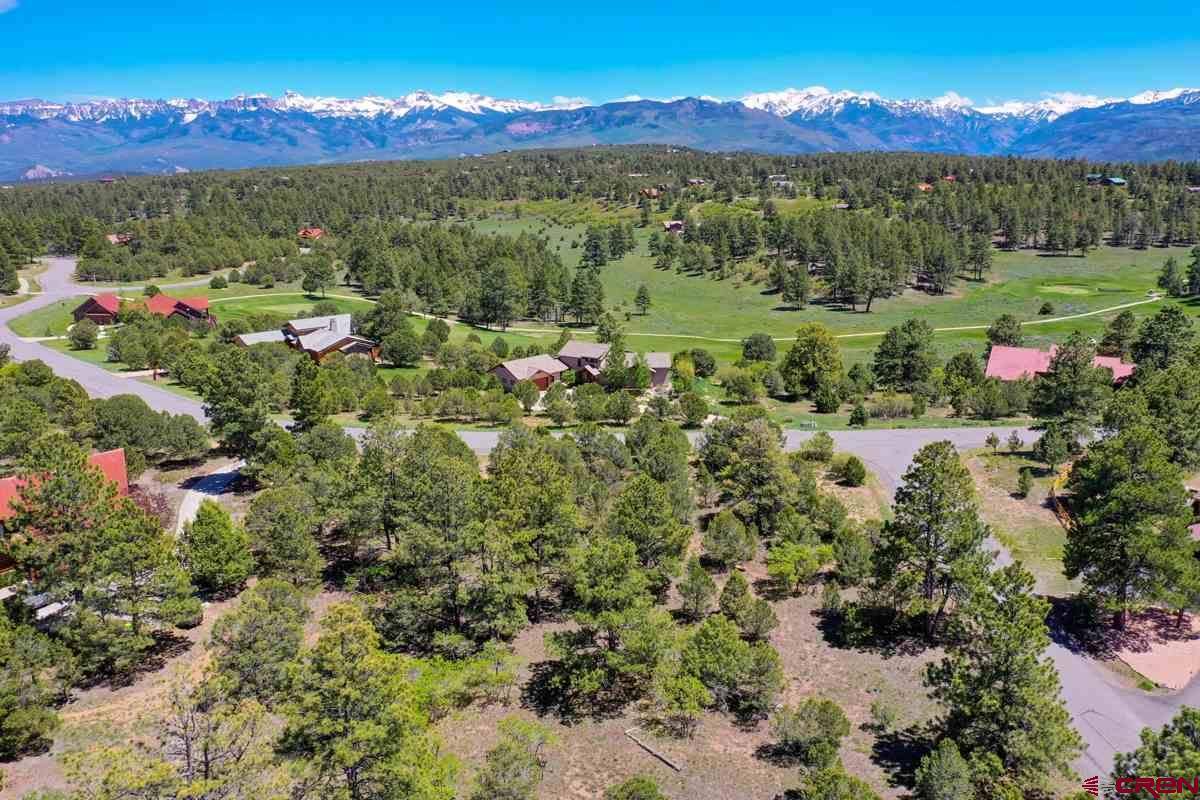 118 Pika Lane, Ridgway, CO 81432