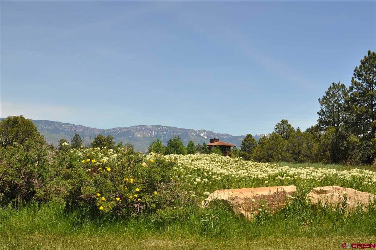 118 Pika Lane, Ridgway, CO 81432