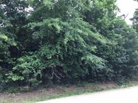 Lot 16 Cherokee Trail, Texarkana, TX 75501