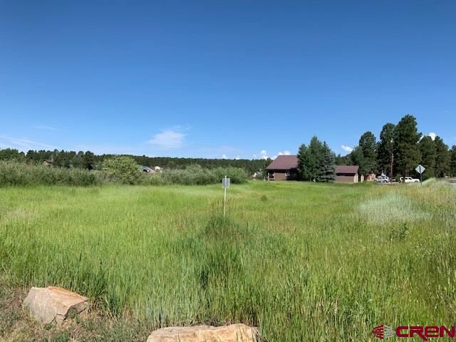1736 County Road 600, Pagosa Springs, CO 81147