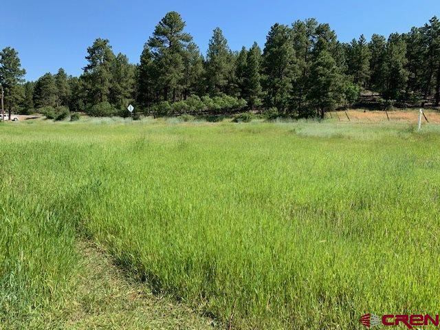 1736 County Road 600, Pagosa Springs, CO 81147