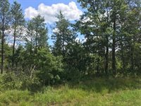 36.66 Acres STATE HIGHWAY 54 WEST, Wisconsin Rapids, WI 54495