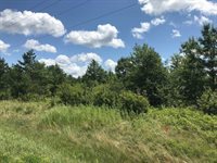 22 Acres (MOL) STATE HIGHWAY 54 WEST, Wisconsin Rapids, WI 54495