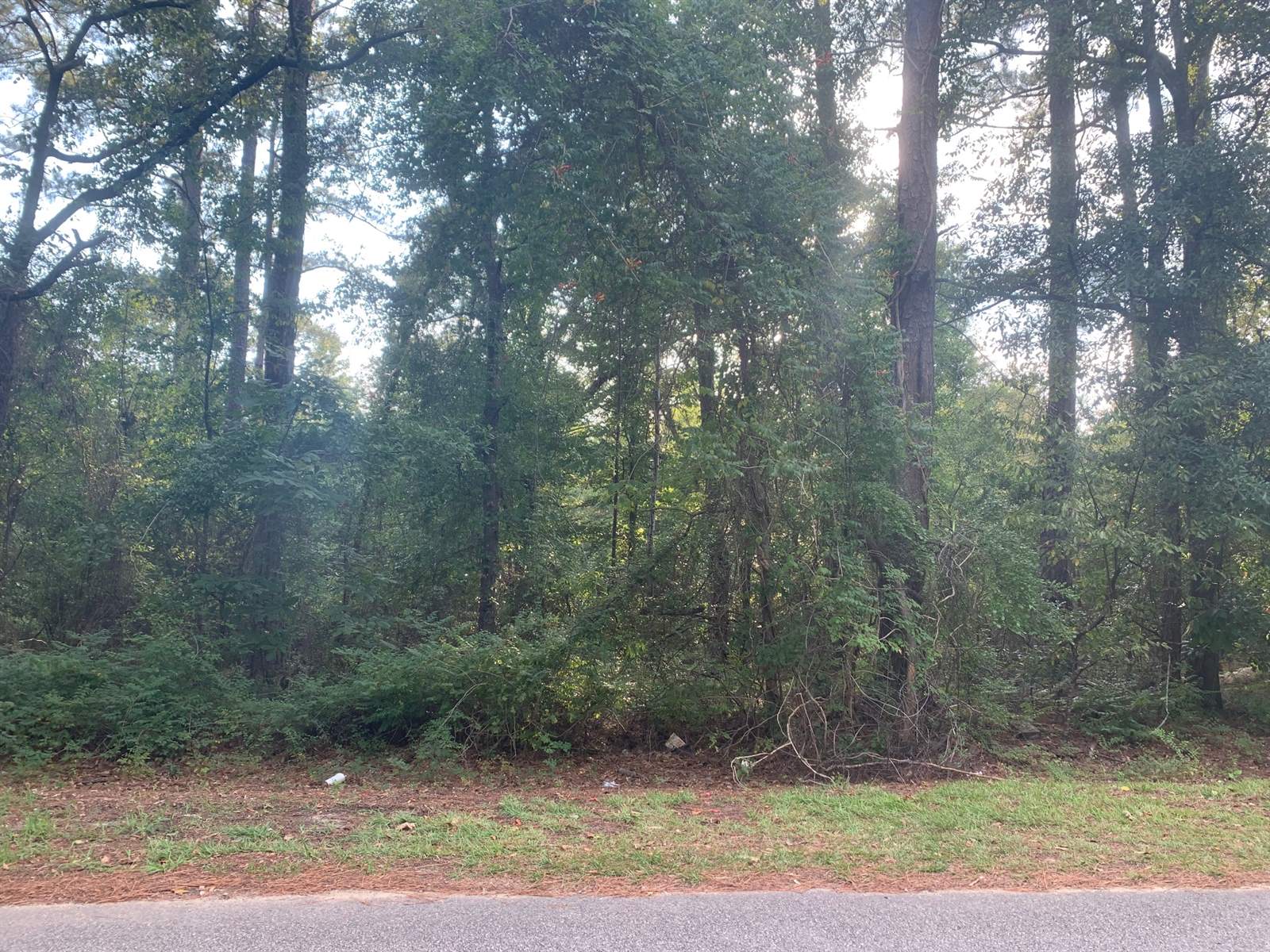 Parcel 16-D Sullivan Rd, Warner Robins, GA 31093