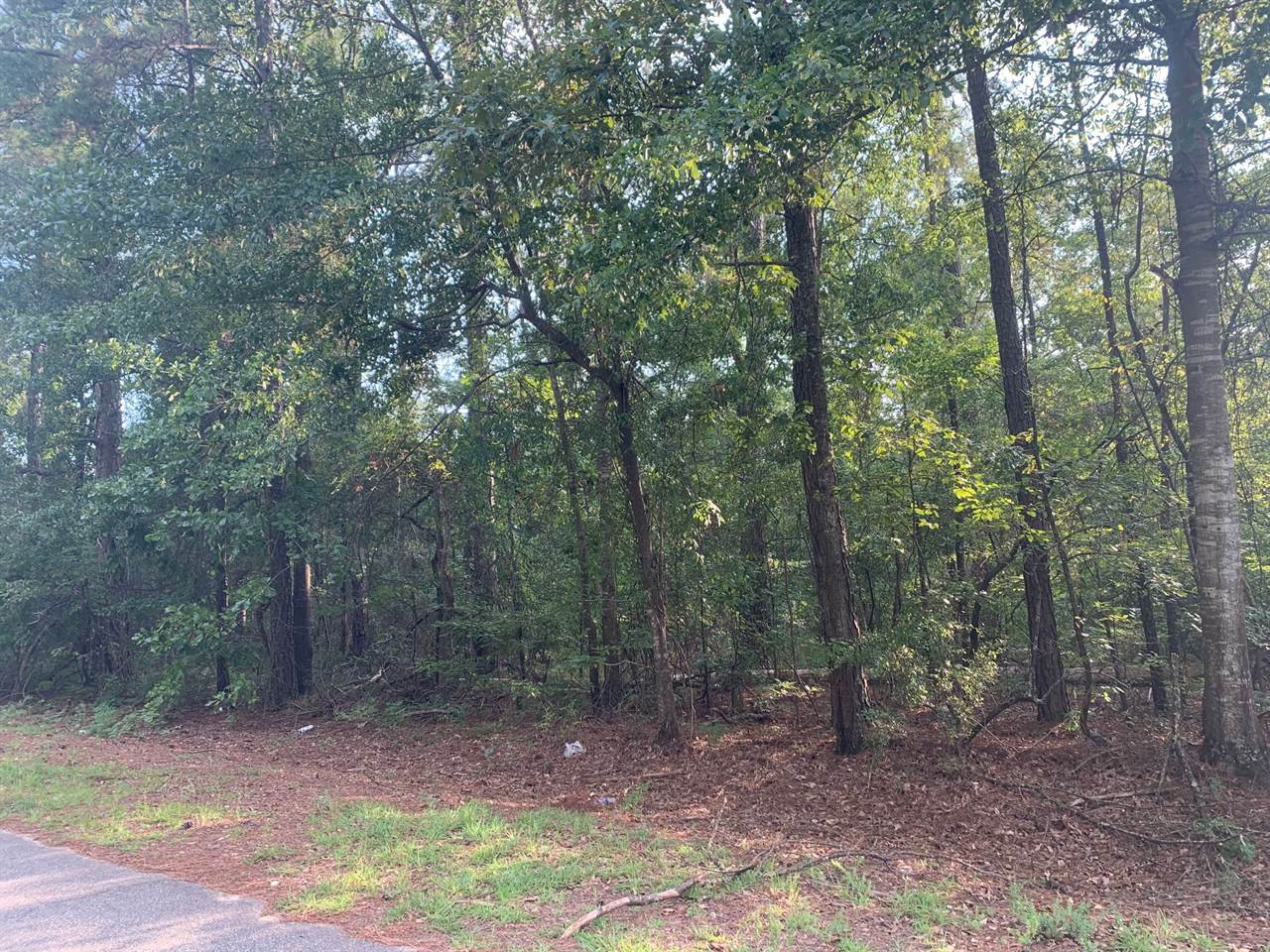 Parcel 16-D Sullivan Rd, Warner Robins, GA 31093