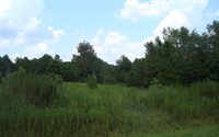 3664 60th Ave Nw, Jennings, FL 32053