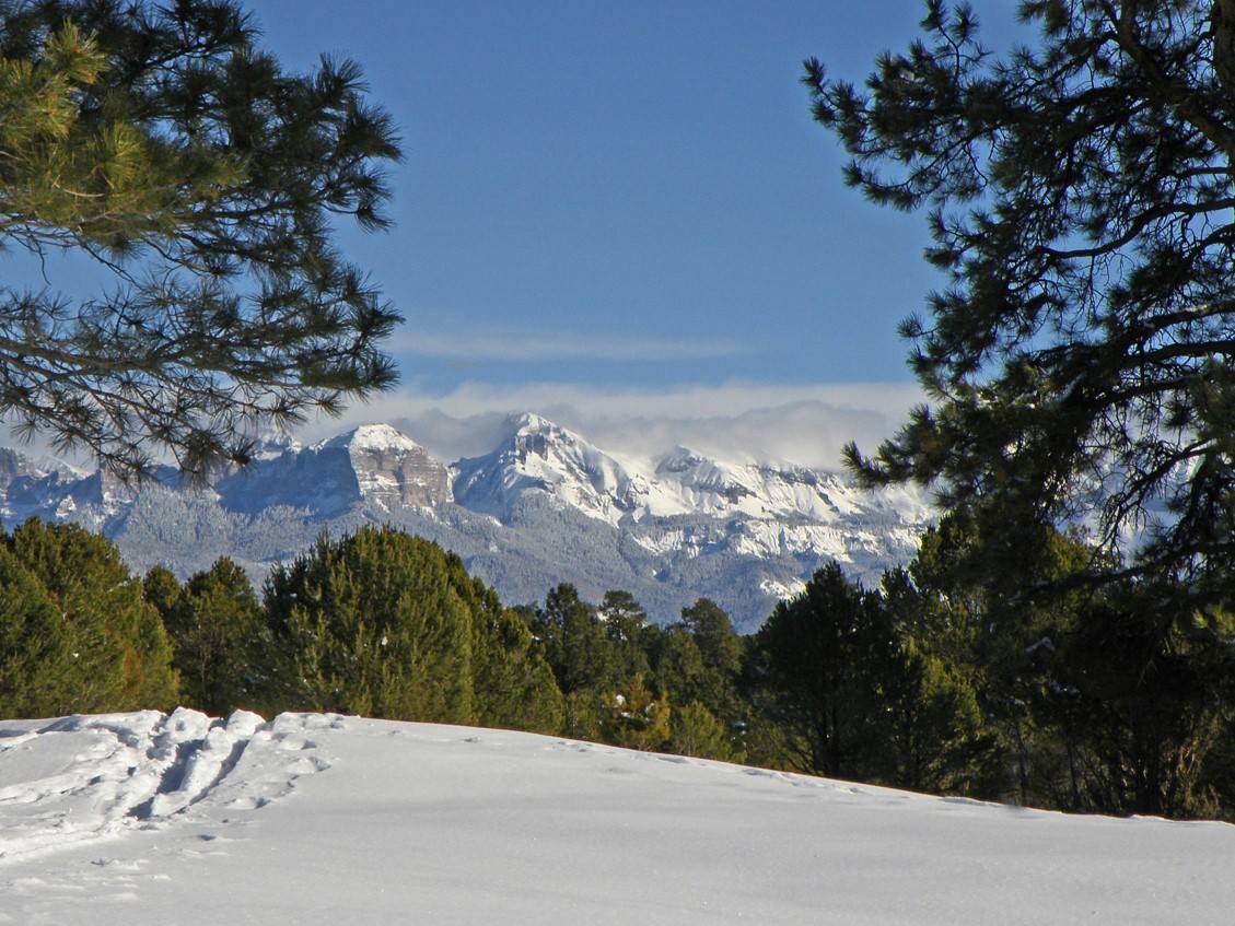 594 S Badger Trail, Ridgway, CO 81432