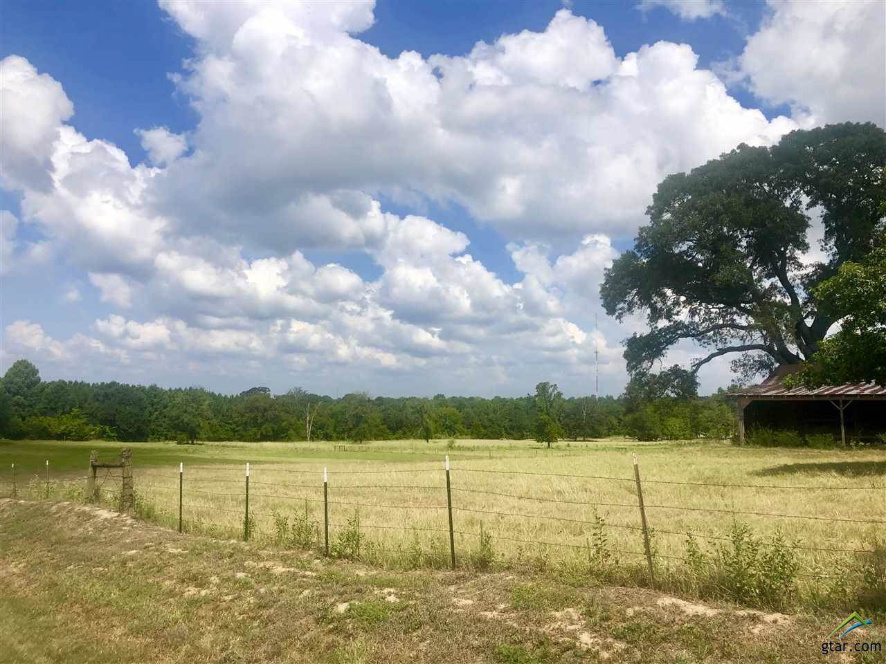 11940 CR 166 (Murphree Ln), Tyler, TX 75703