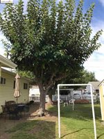 608 Texas St, Antioch, CA 94509