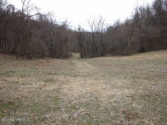 MOUNT PLEASANT Road, Shawsville, VA 24162