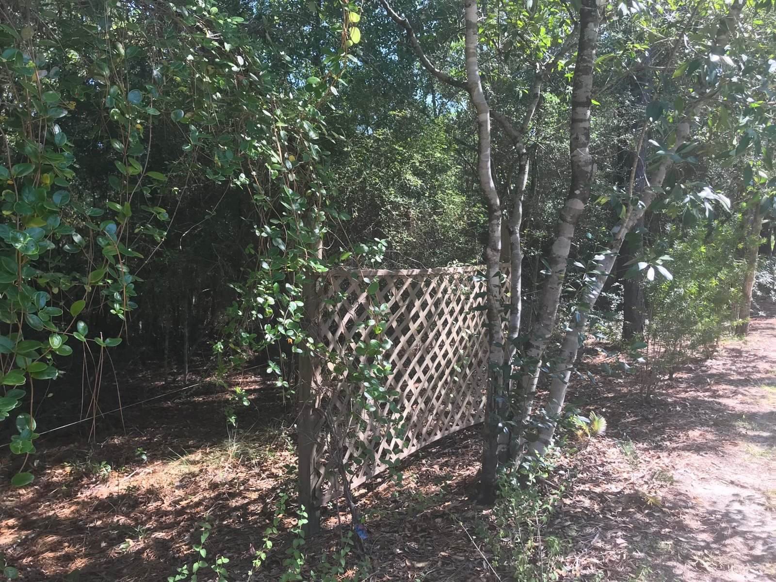 TBD Possum Ridge Road, Crestview, FL 32539