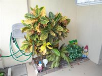 3368 SW Villa Place, Palm City, FL 34990