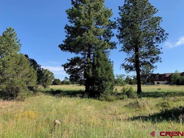 123 HUMMINGBIRD Trail, Ridgway, CO 81432