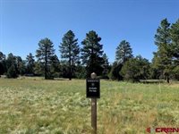 123 HUMMINGBIRD Trail, Ridgway, CO 81432