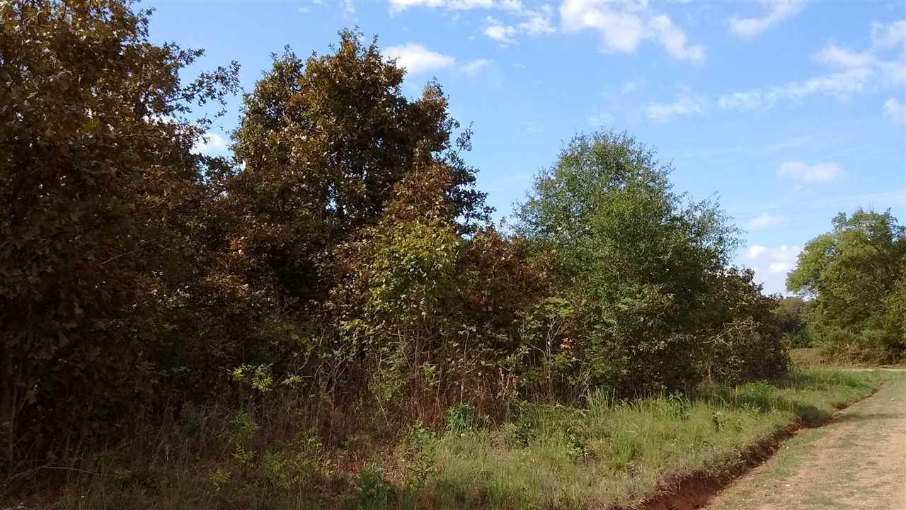 Tbd Cr 4307, DeKalb, TX 75559