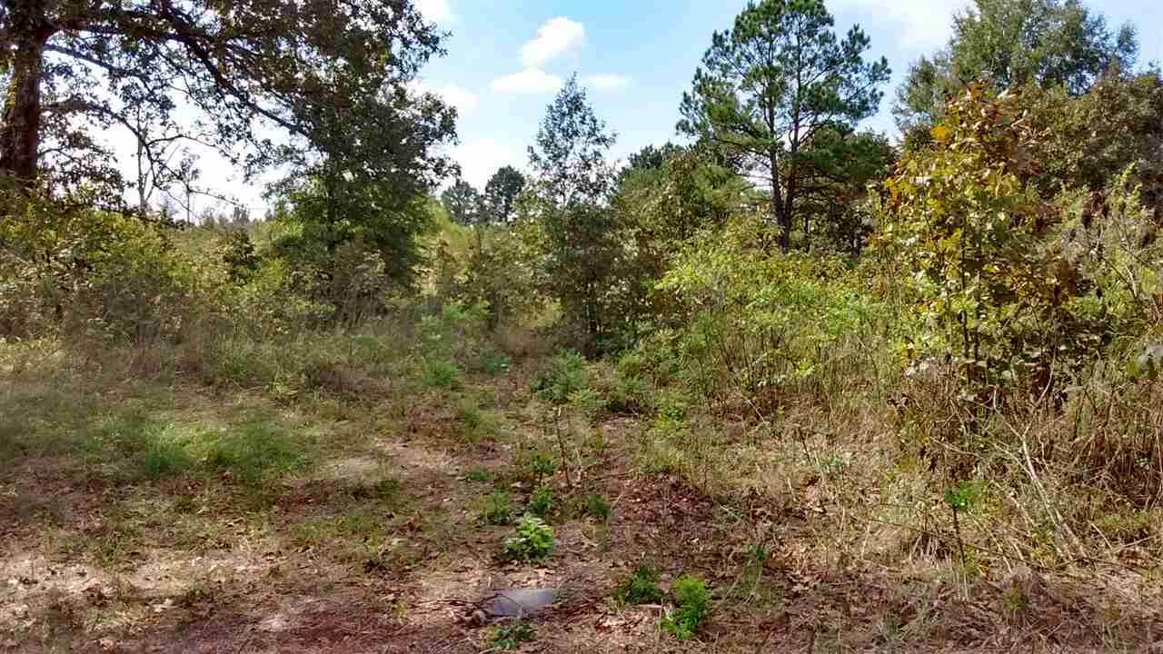 Tbd Cr 4307, DeKalb, TX 75559