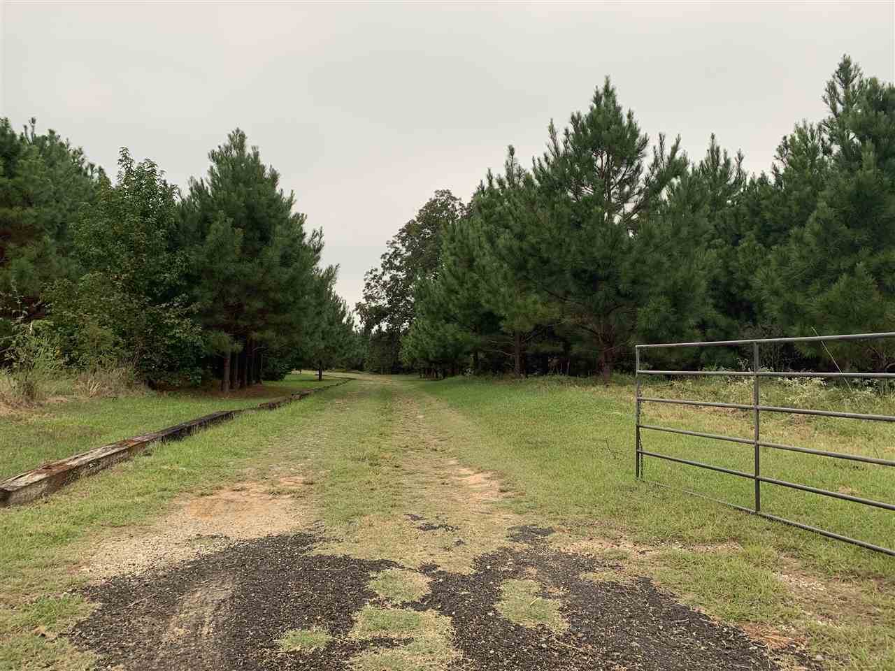 2550 CR 4107, New Boston, TX 75570