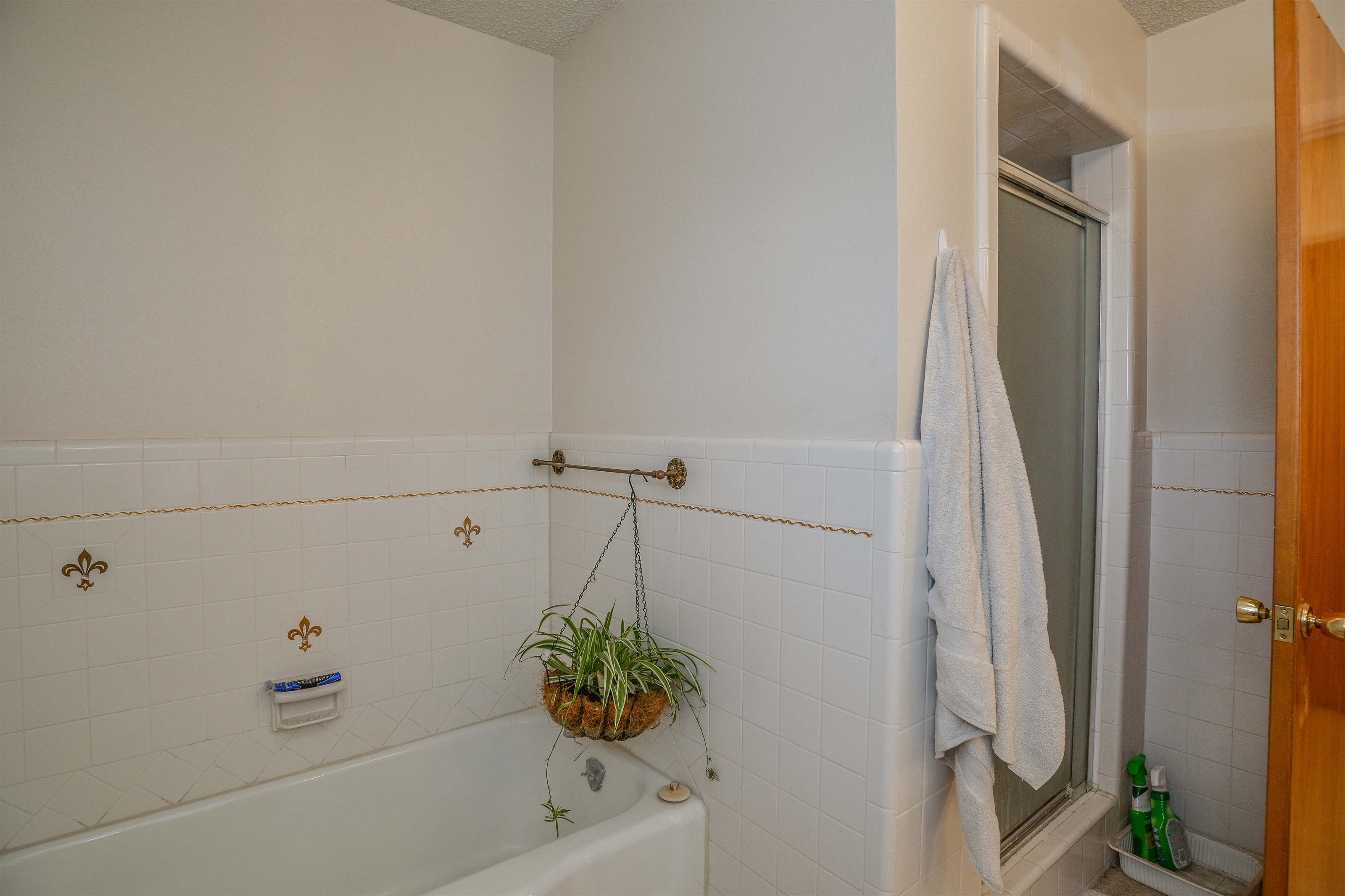 1602 Green Avenue, Wilson, TX 79381