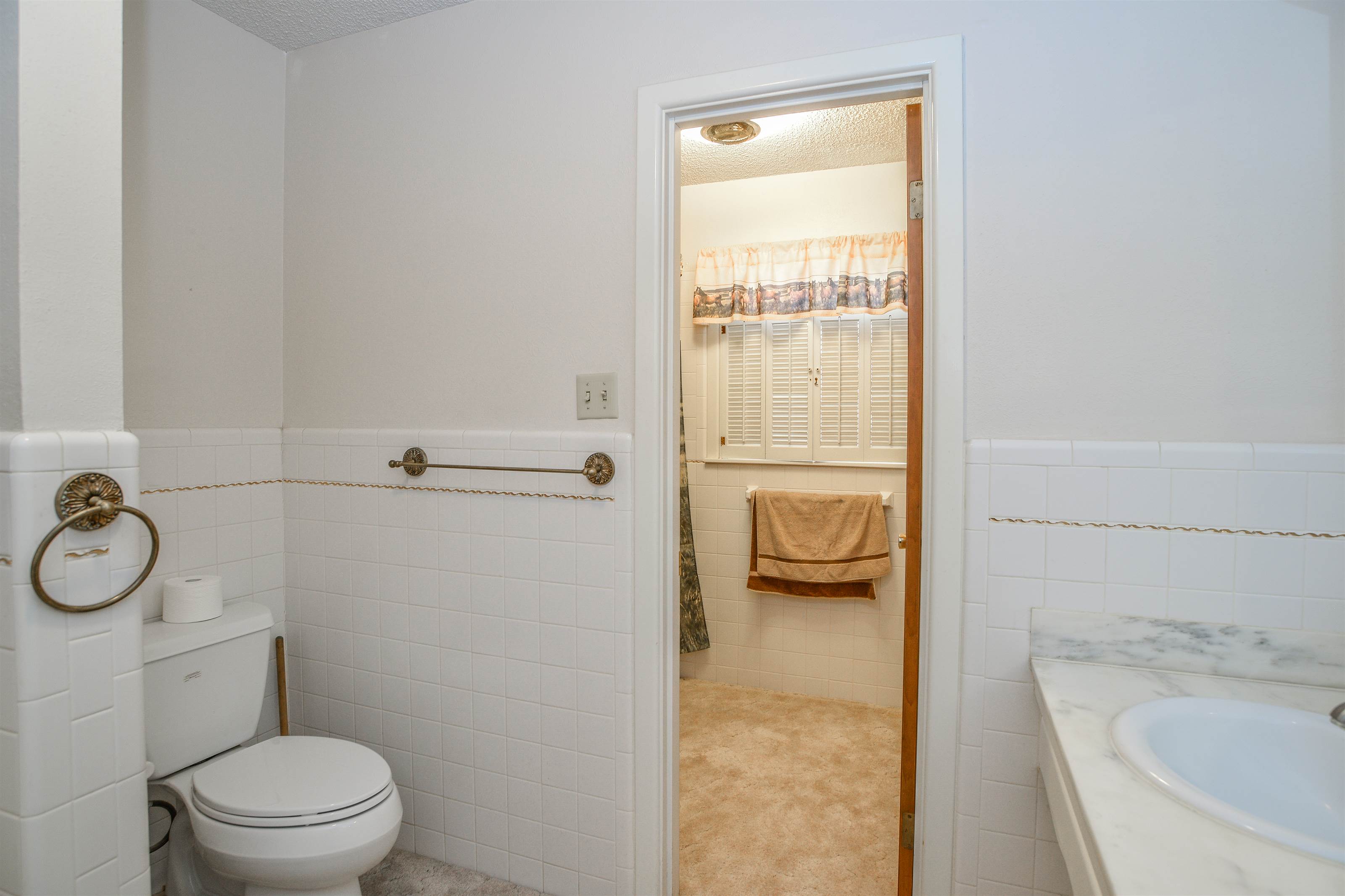 1602 Green Avenue, Wilson, TX 79381