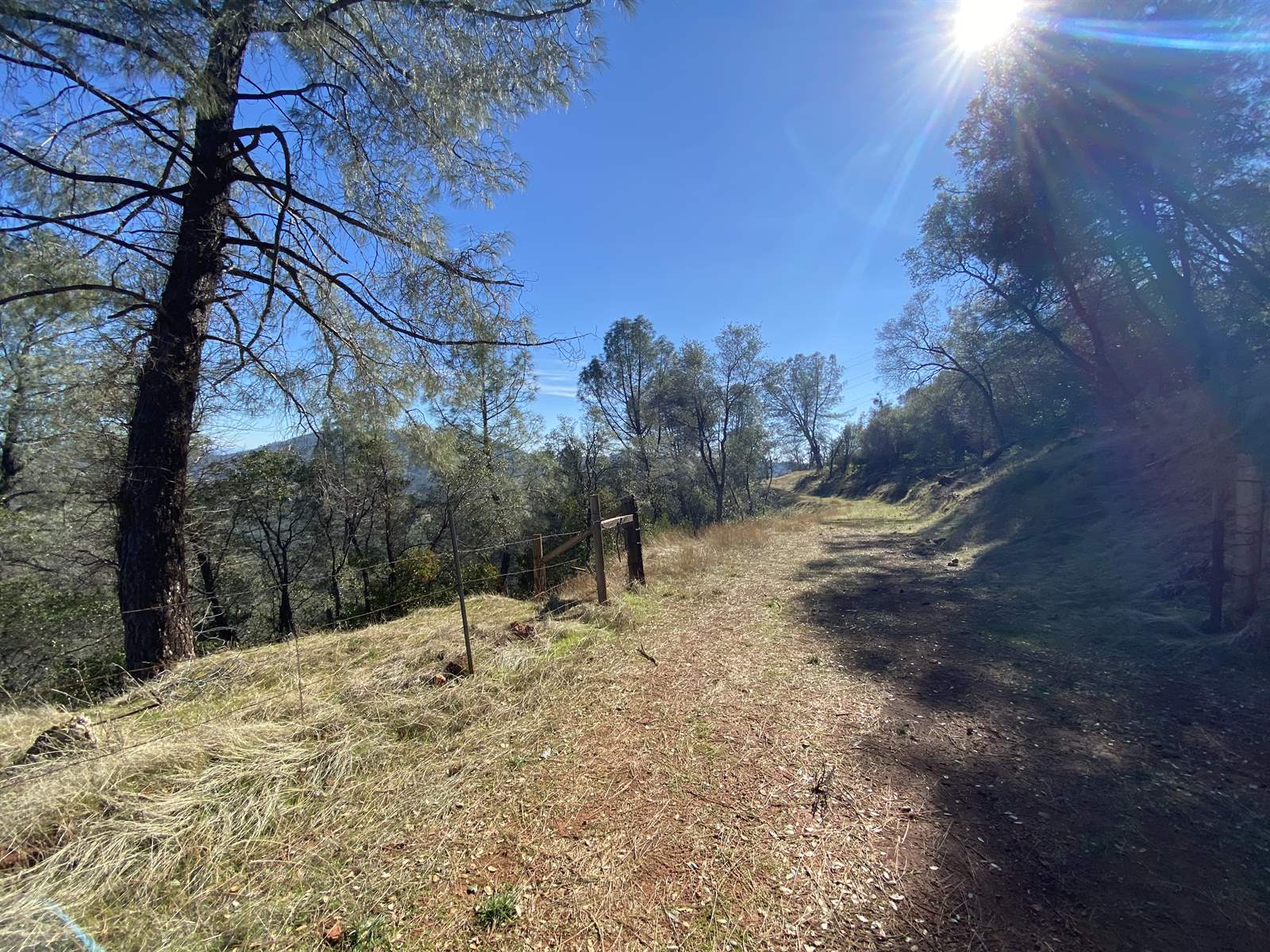 10359 Pool Station Rd, Angels Camp, CA 95222