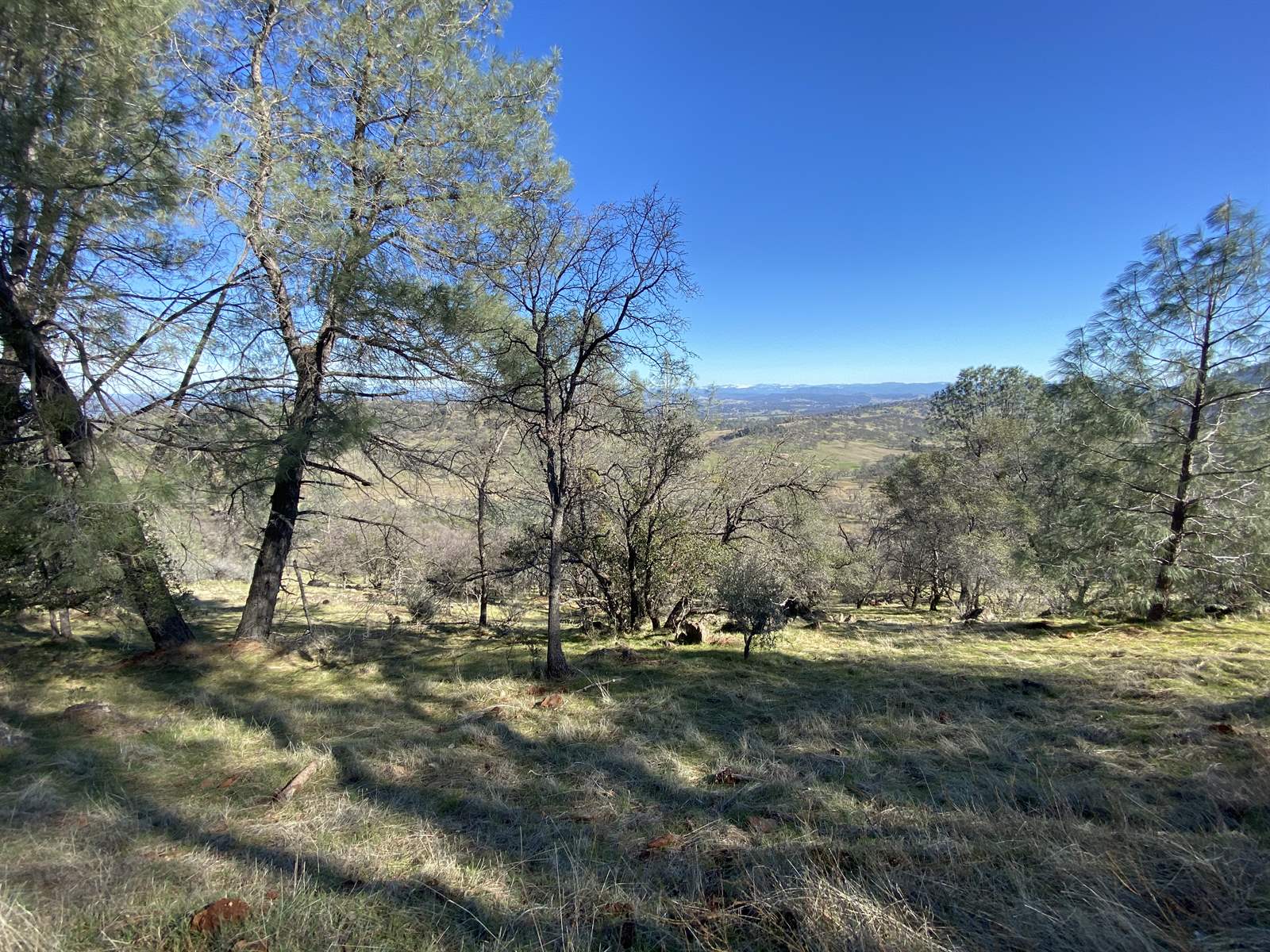 10359 Pool Station Rd, Angels Camp, CA 95222