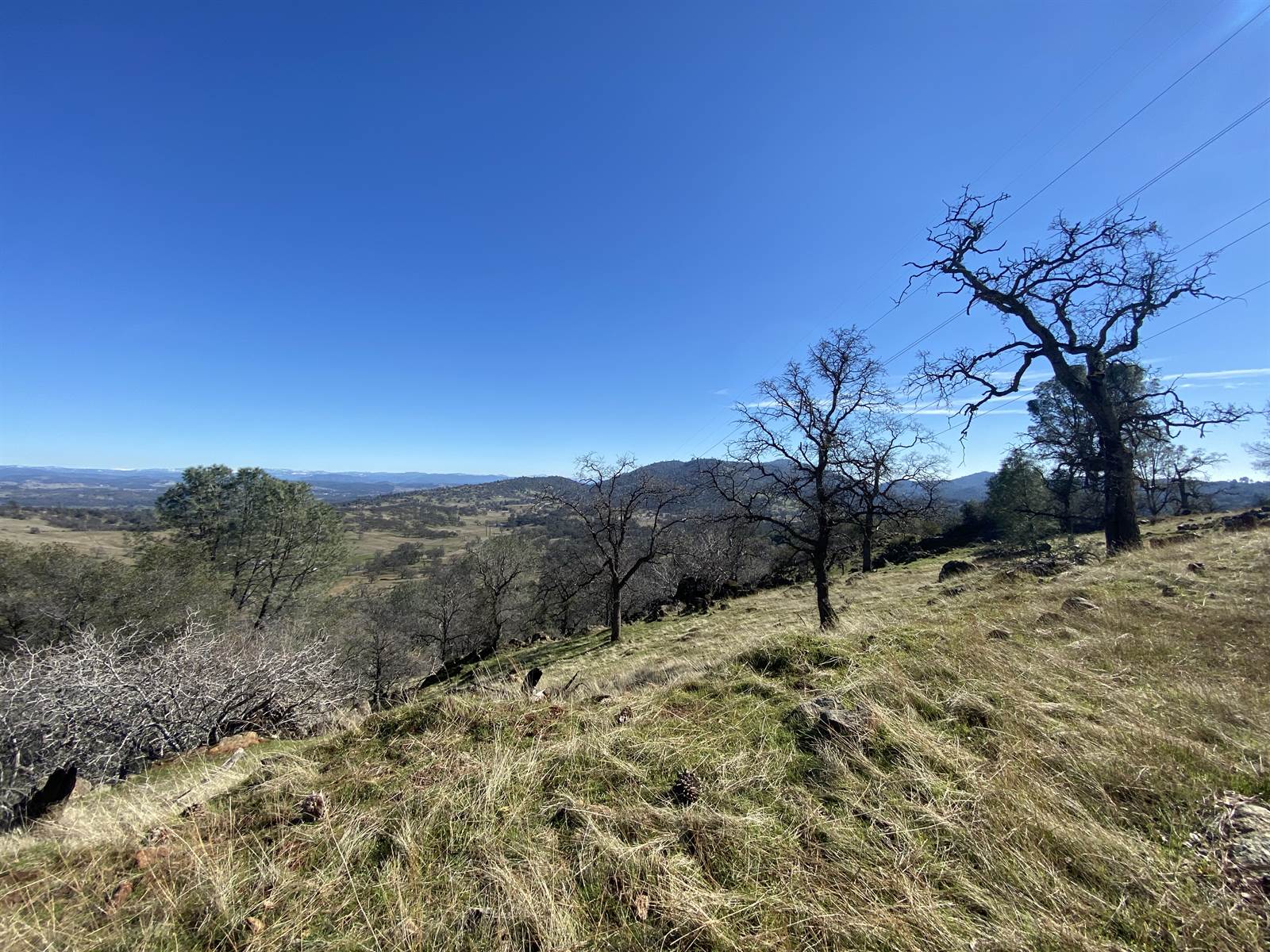 10359 Pool Station Rd, Angels Camp, CA 95222