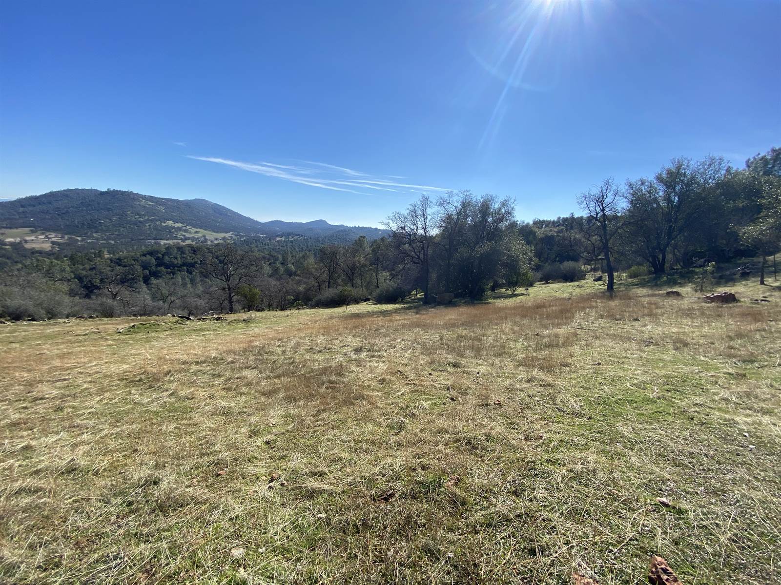 10359 Pool Station Rd, Angels Camp, CA 95222