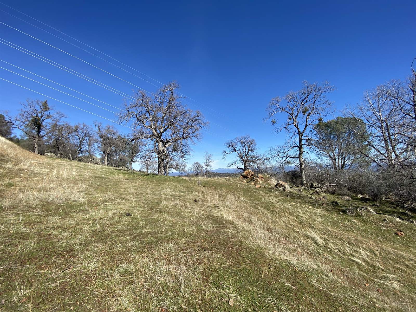 10359 Pool Station Rd, Angels Camp, CA 95222