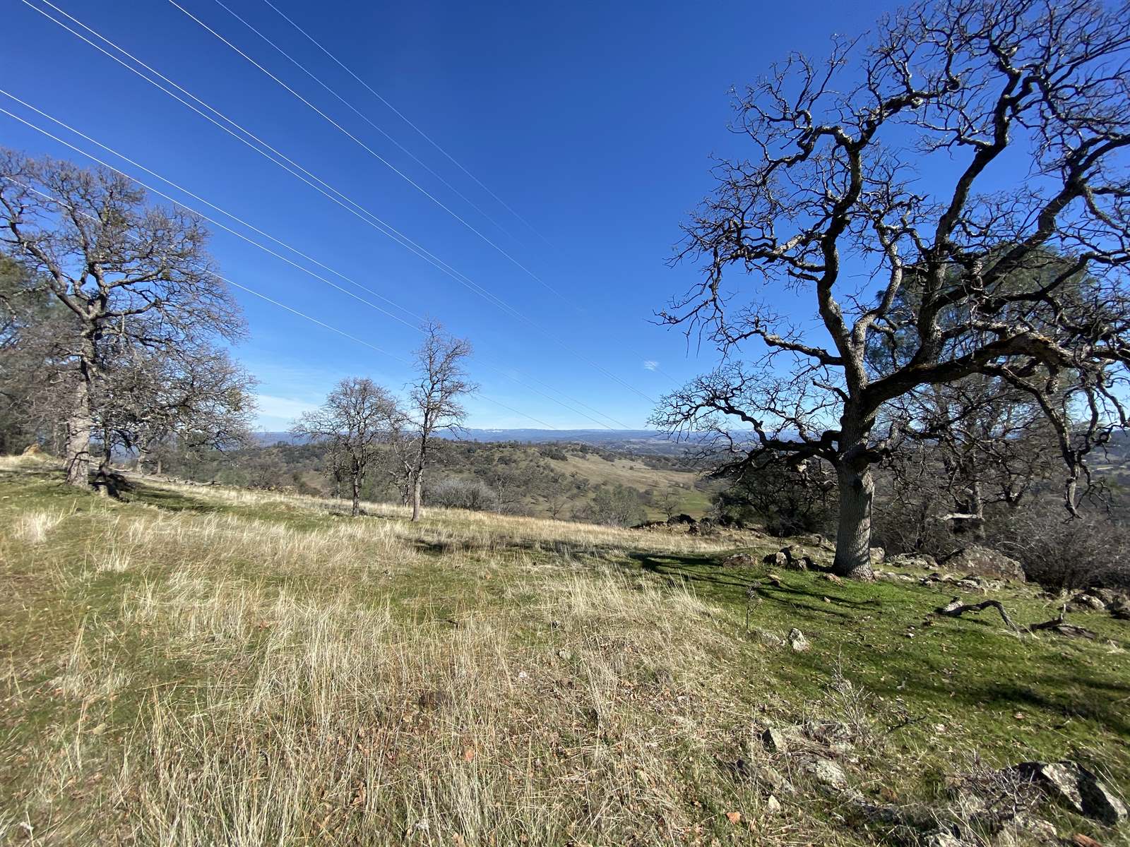 10359 Pool Station Rd, Angels Camp, CA 95222