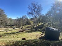 10359 Pool Station Rd, Angels Camp, CA 95222