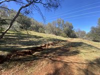 10359 Pool Station Rd, Angels Camp, CA 95222