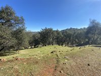 10359 Pool Station Rd, Angels Camp, CA 95222